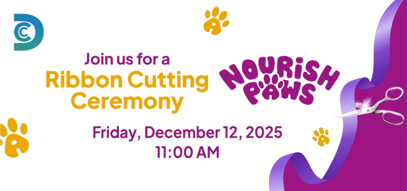 December12th December12th